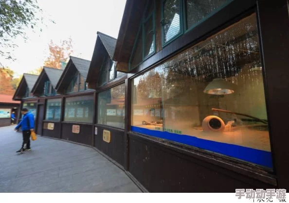 匠心独运：古韵奶块建筑指南，古风宅邸设计图纸大全与建造技艺探秘