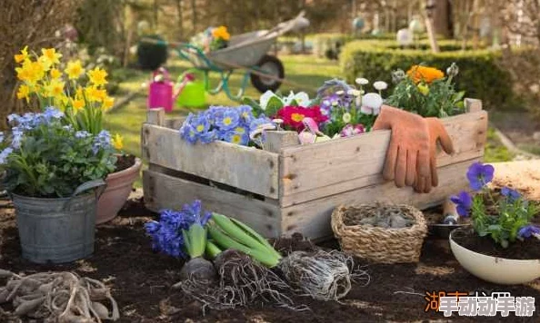 进入小花园的技巧！知情人士透露，只需在午夜12点准时敲门，并携带一束鲜花，即可获得通行证