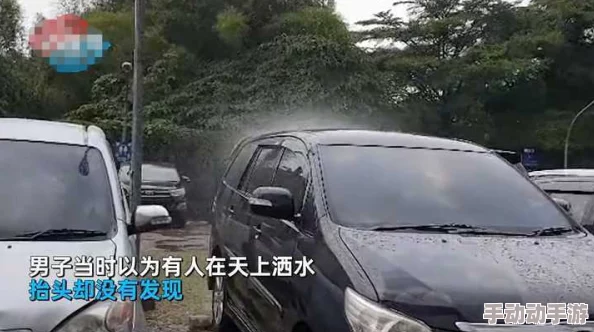 野外车里地震视频怎么播放?网友热议:这种情况下如何确保安全与信息获取的平衡? 野外车里地震视频怎么播放?网友热议:这种情况下如何确保安全与信息获取的平衡?