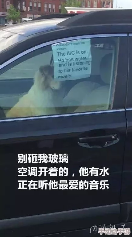 野外车里地震视频怎么播放?网友热议:这种情况下如何确保安全与信息获取的平衡? 野外车里地震视频怎么播放?网友热议:这种情况下如何确保安全与信息获取的平衡?