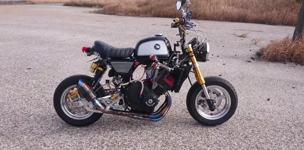 日本人生猴子不盖被子，反映了人们对动物习性的观察与思考，以及文化中对温暖和舒适的不同理解