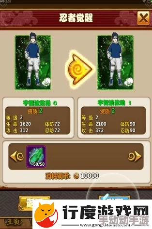 精通乱斗战场：忍者大师属性加点策略与全面图鉴指南