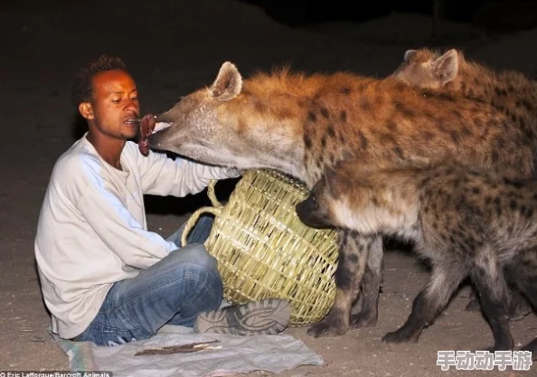 男人和女人一起生猴子:探讨人类与动物基因交叉实验的伦理问题及其对科学研究的影响 男人和女人一起生猴子:探讨人类与动物基因交叉实验的伦理问题及其对科学研究的影响