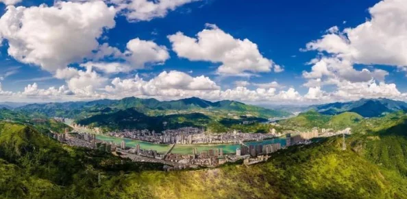 51家公司在全球市场中的竞争力分析与发展趋势研究：以科技行业为例的实证调查与案例分析