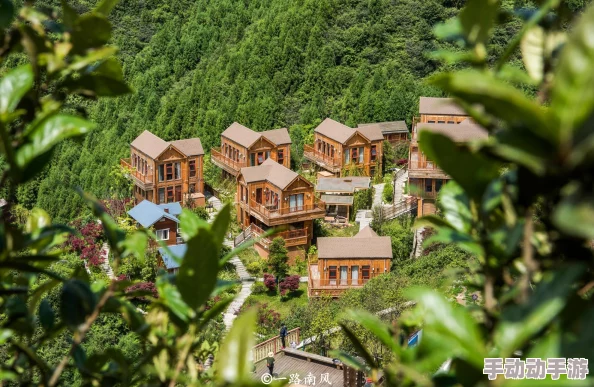 探秘球球大作战：独家揭秘皮肤收藏家系列荣耀称号全览与背后故事