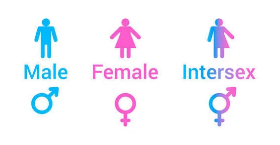 HD性妇女意大利:对女性性别角色与社会期望的影响研究及其在现代文化中的表现分析 HD性妇女意大利:对女性性别角色与社会期望的影响研究及其在现代文化中的表现分析