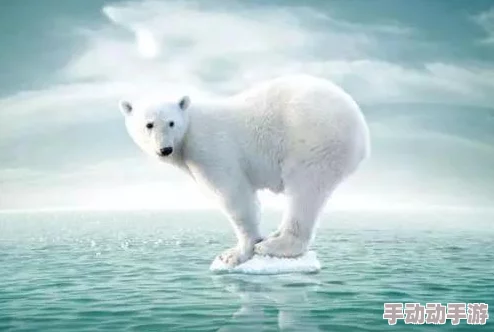 探索《我的世界》中北极熊的自然栖息与奥秘：条件详析与环境影响因素