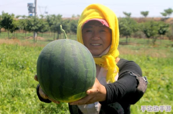 五一吃瓜最新入口：畅享假期美食，带你领略各地特色水果与甜品的完美结合