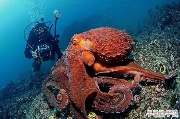 do i细节 文原文：深入分析现代社会中个体与技术的关系及其对生活方式的影响