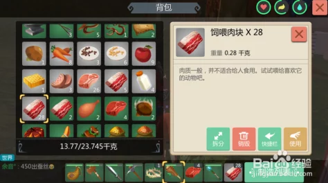 掌握创造与魔法世界：独家宠物捕捉技巧与策略大公开