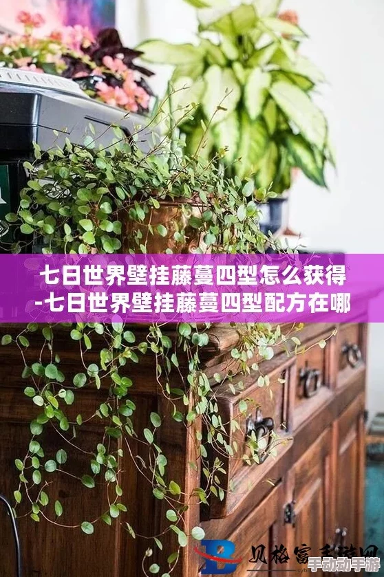 七日世界壁挂藤蔓四型在哪-壁挂藤蔓四型位置介绍 七日世界壁挂藤蔓四型在哪-壁挂藤蔓四型位置介绍